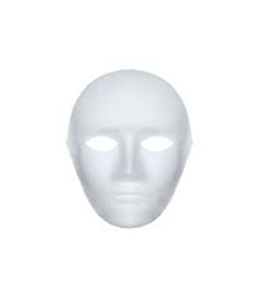 Paper Mask  pkt of 2