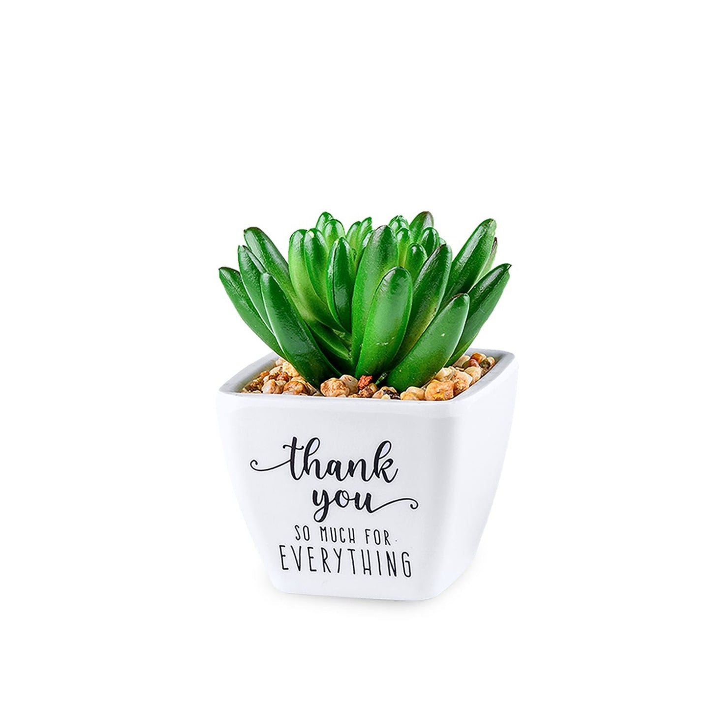 Thank You So Much For Everything Artificial Plant