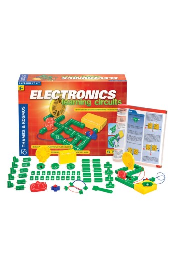 Electronic Learning Circuits