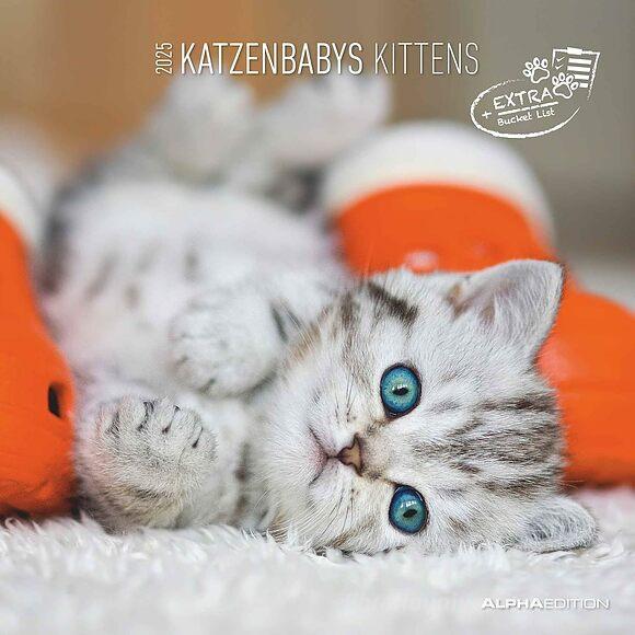 Alpha Edition 30 X 30 Cm Calendar 2025 - Kittens