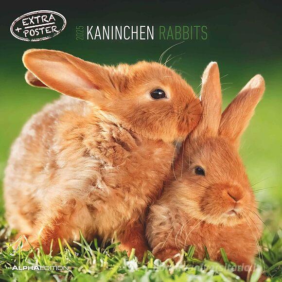 Alpha Edition 30 X 30 Cm Calendar 2025 - Rabbits