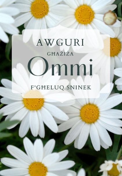 Awguri Ommi