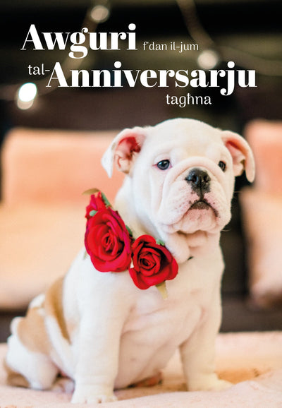 Awguri F'Dan Il-Jum Tal-Anniversarju Tagħna