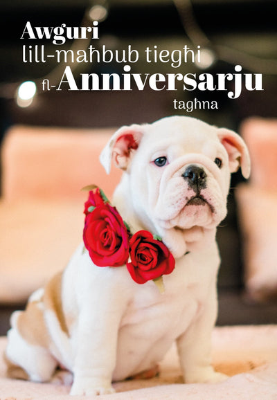 Awguri Lill-Maħbub Tiegħi Fl-Anniversarju Tagħna