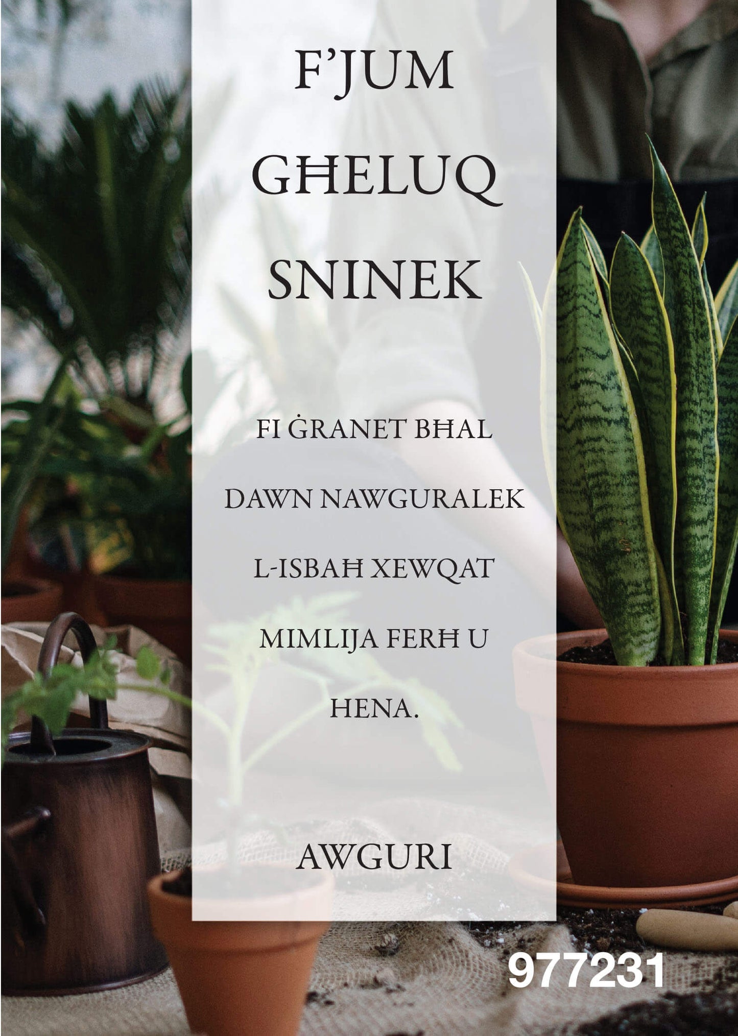 F'Jum Għeluq Sninek