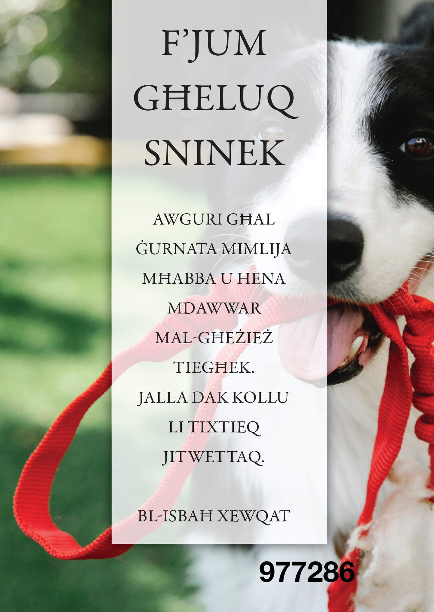 F'Jum Għeluq Sninek