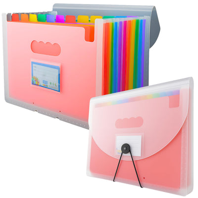 Folder A4 with 13 compartments transparent flap