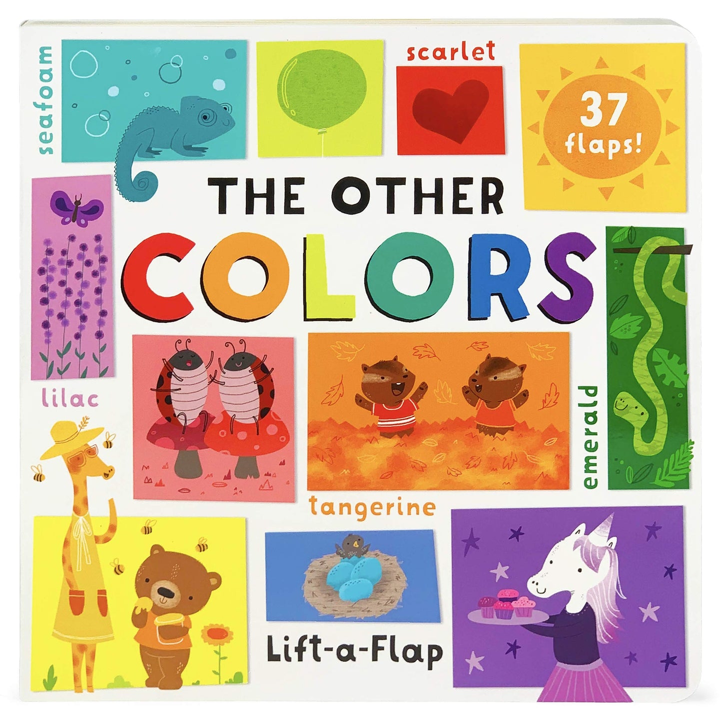Lift A Flap: The Other Colors