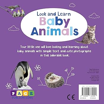 Look and Learn Baby Animals