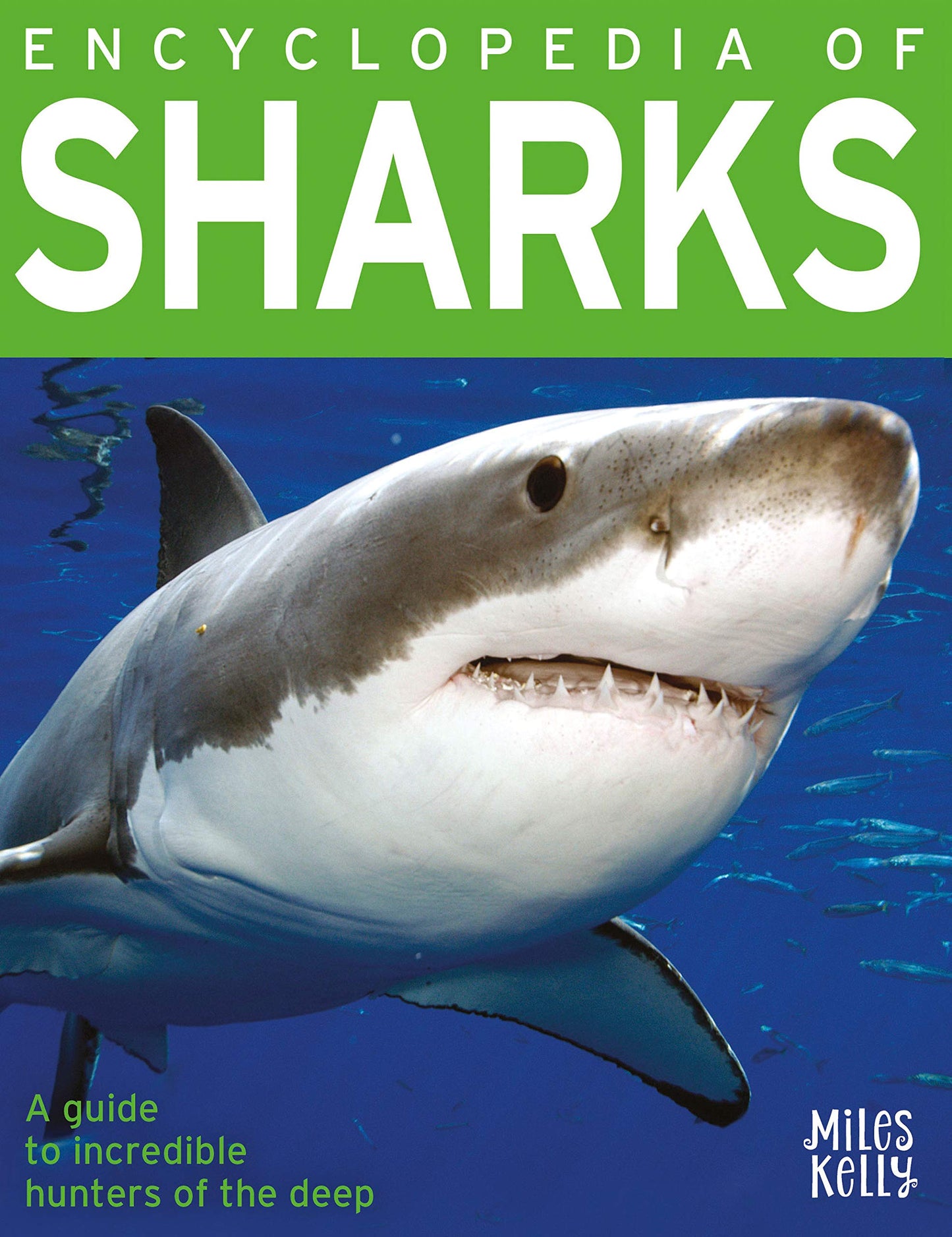 384 Pgs: Encyclopedia Of Sharks