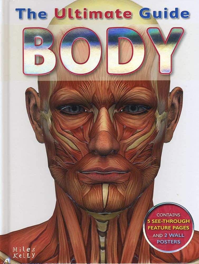 The Ultimate Guide - Body
