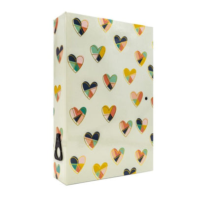 Hard A4 Box File