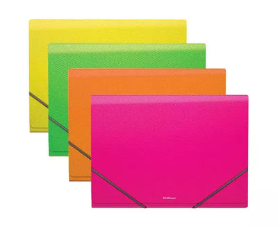 Expanding File A4 X 12 Parts