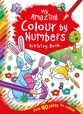 My Amazing Colour By Numbers Activity