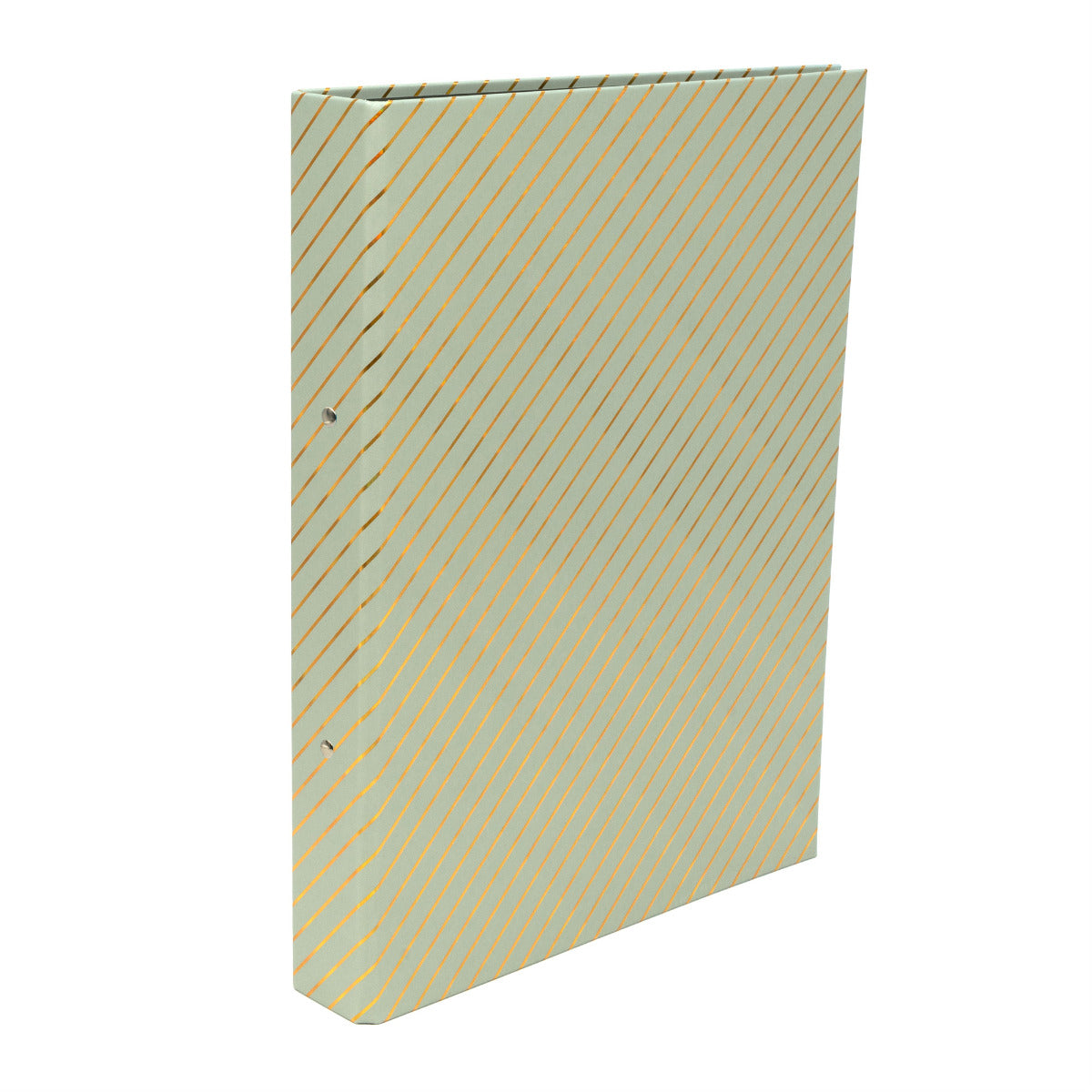 Pukka 2 Ring Binder