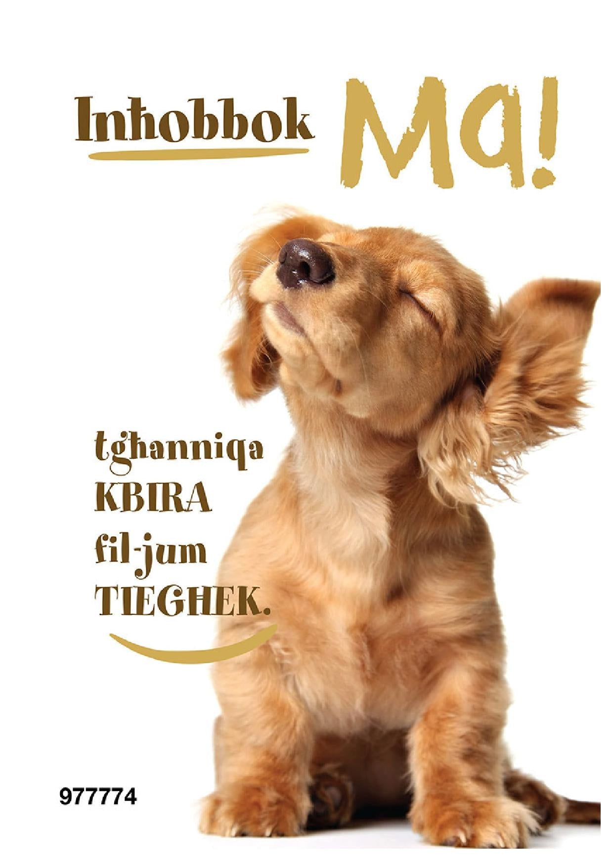 Inhobbok Ma!