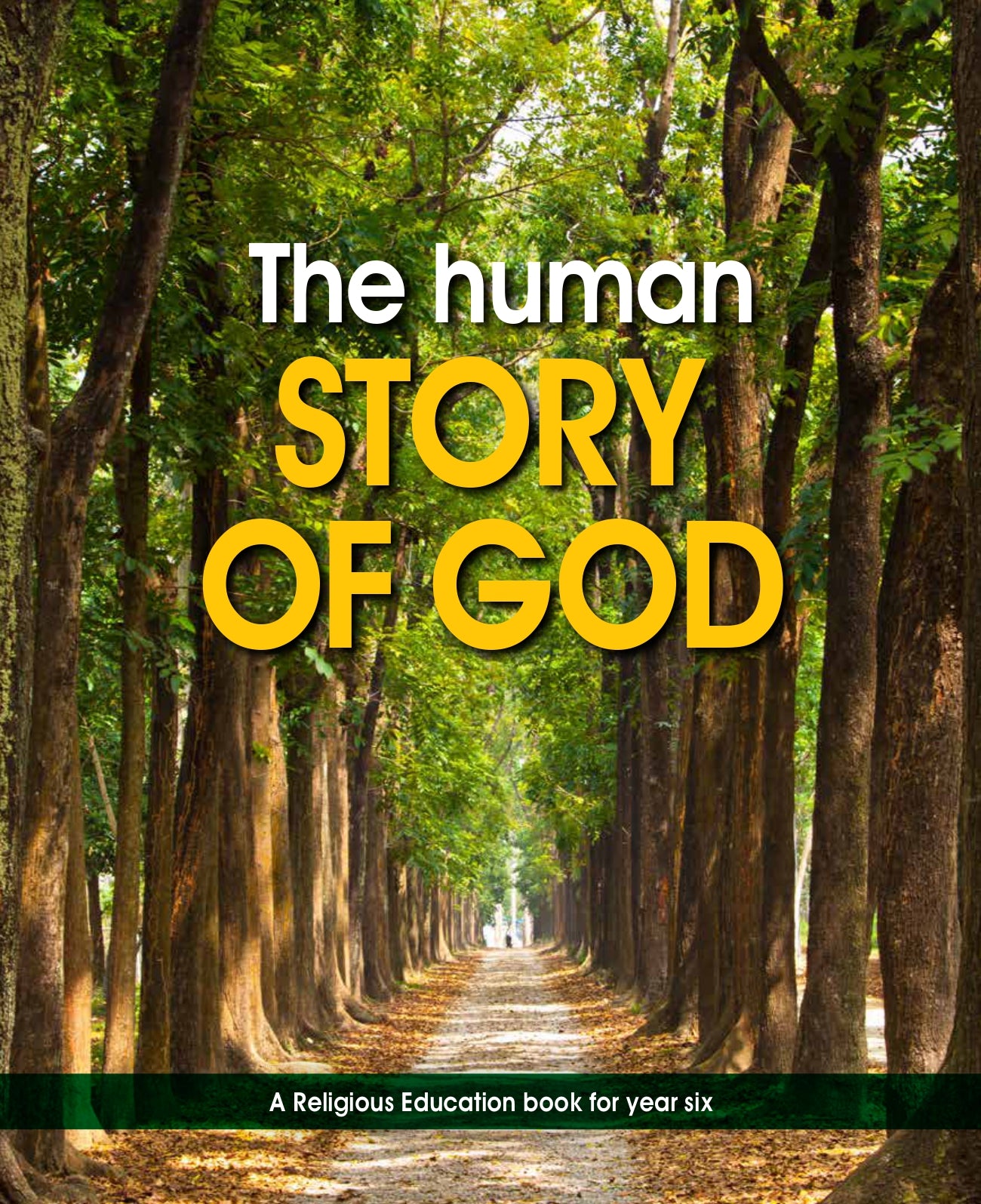 The Human Story of God