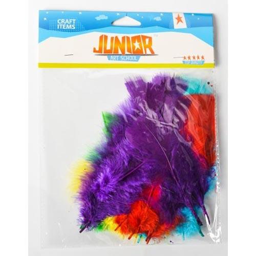 Craft Decorative Feathers 8G