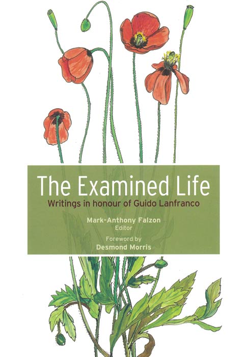 The Examined Life