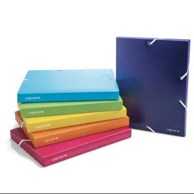 Plastic box file A4 25mm with Elastic