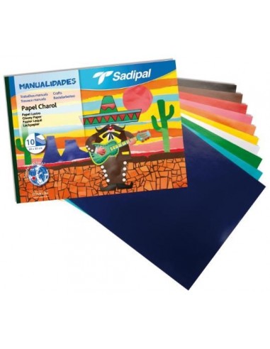 Hojas Paper Charol A4 X10 Pcs