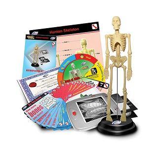Orthopedics Deluxe Set