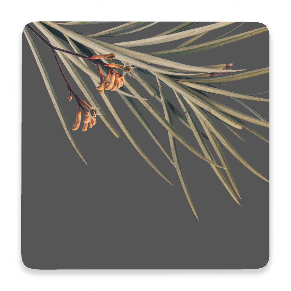 Spikey Leaf Coaster