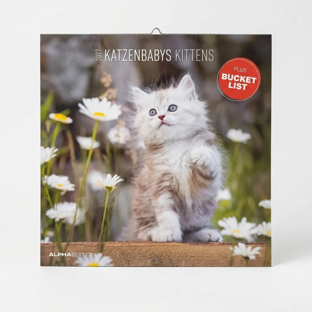 Alpha Edition 2027 Katzenbabys Kittens Calendar with Bucket List