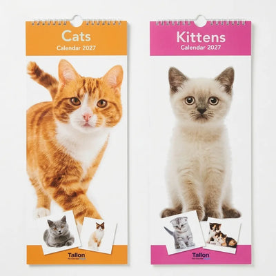 Cats or Kittens Calendar 2027