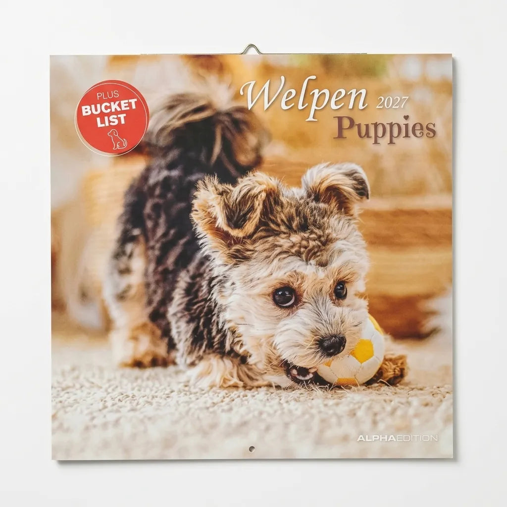 Welpen 2027 Puppies Wall Calendar