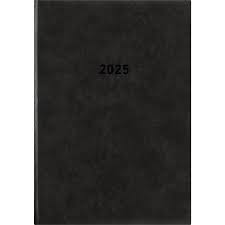 Diary A5 Padded 2025 - 1 Day A Page