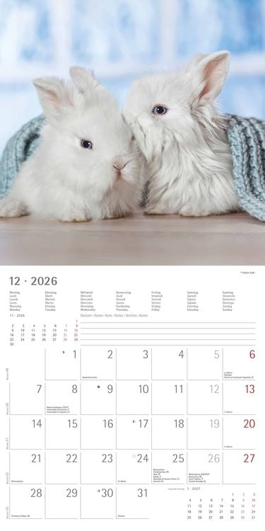 Rabbits 2026 Wall Calendar 30x30 cm