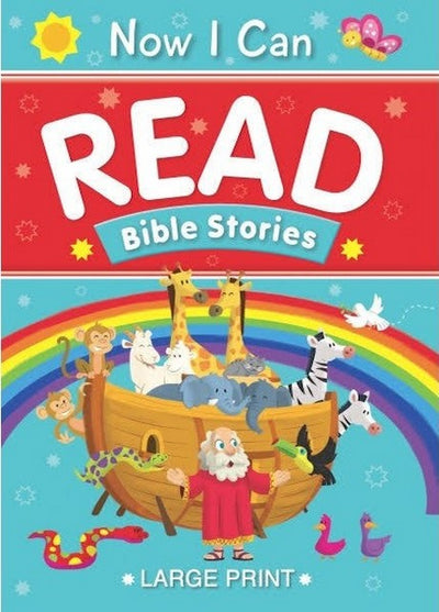 Large Print Bible story book for Children