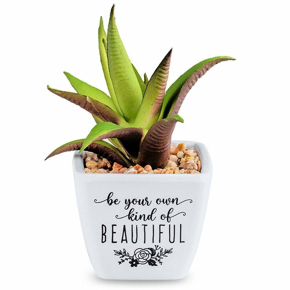 My Sun My Moon Artificial Plant