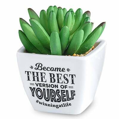 Best Versionartificial Plant