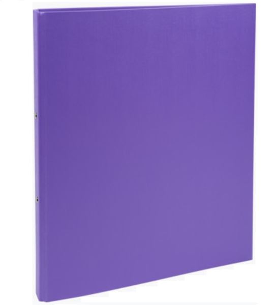 Hard 2 Ring File Purple