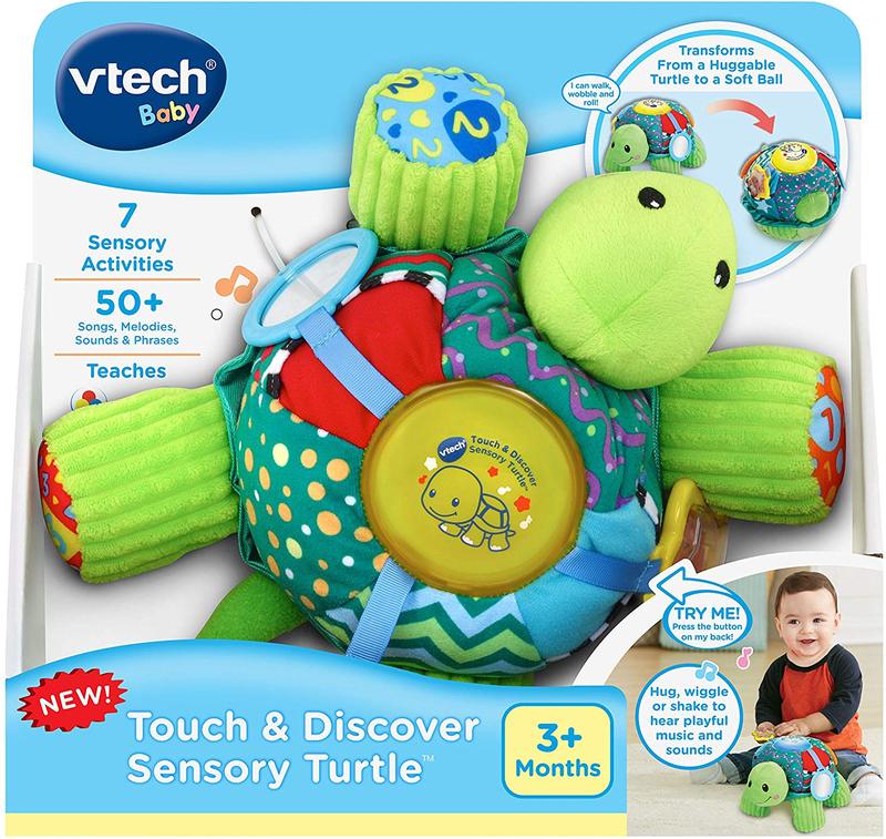 Peek And Play Turtle