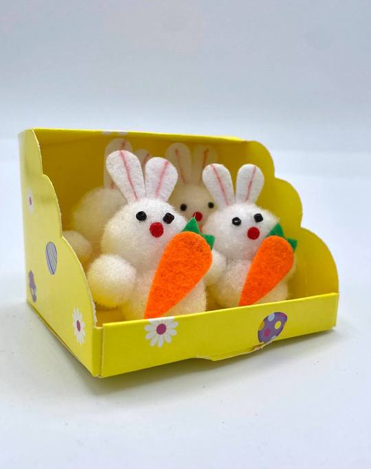 Bunny