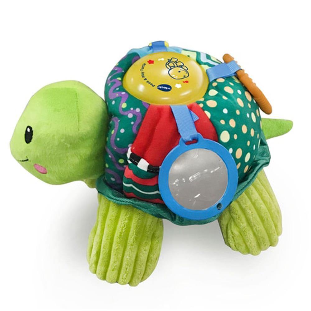 Peek And Play Turtle