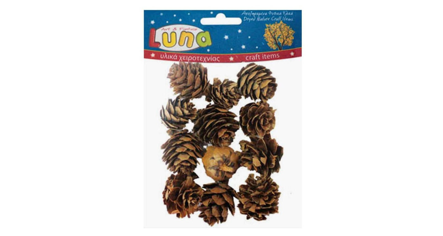 Dryed Pine Cone