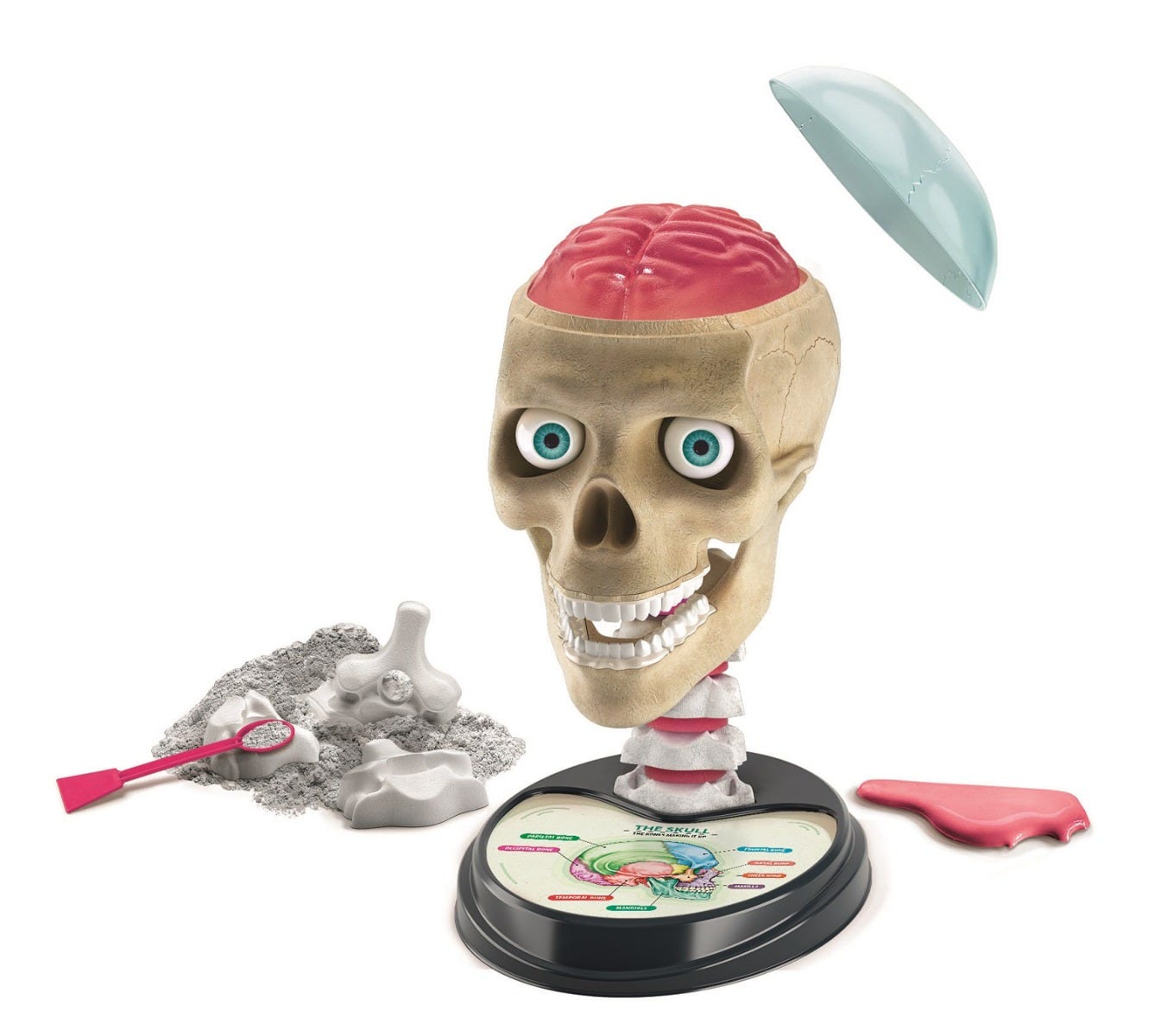 Clementoni Anatomy Lab - 61520