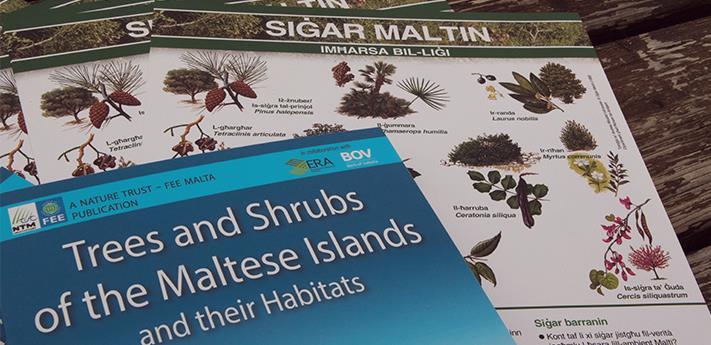 Trees And Shrubs Of The Maltese Islands And Their Habitats