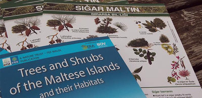Trees And Shrubs Of The Maltese Islands And Their Habitats