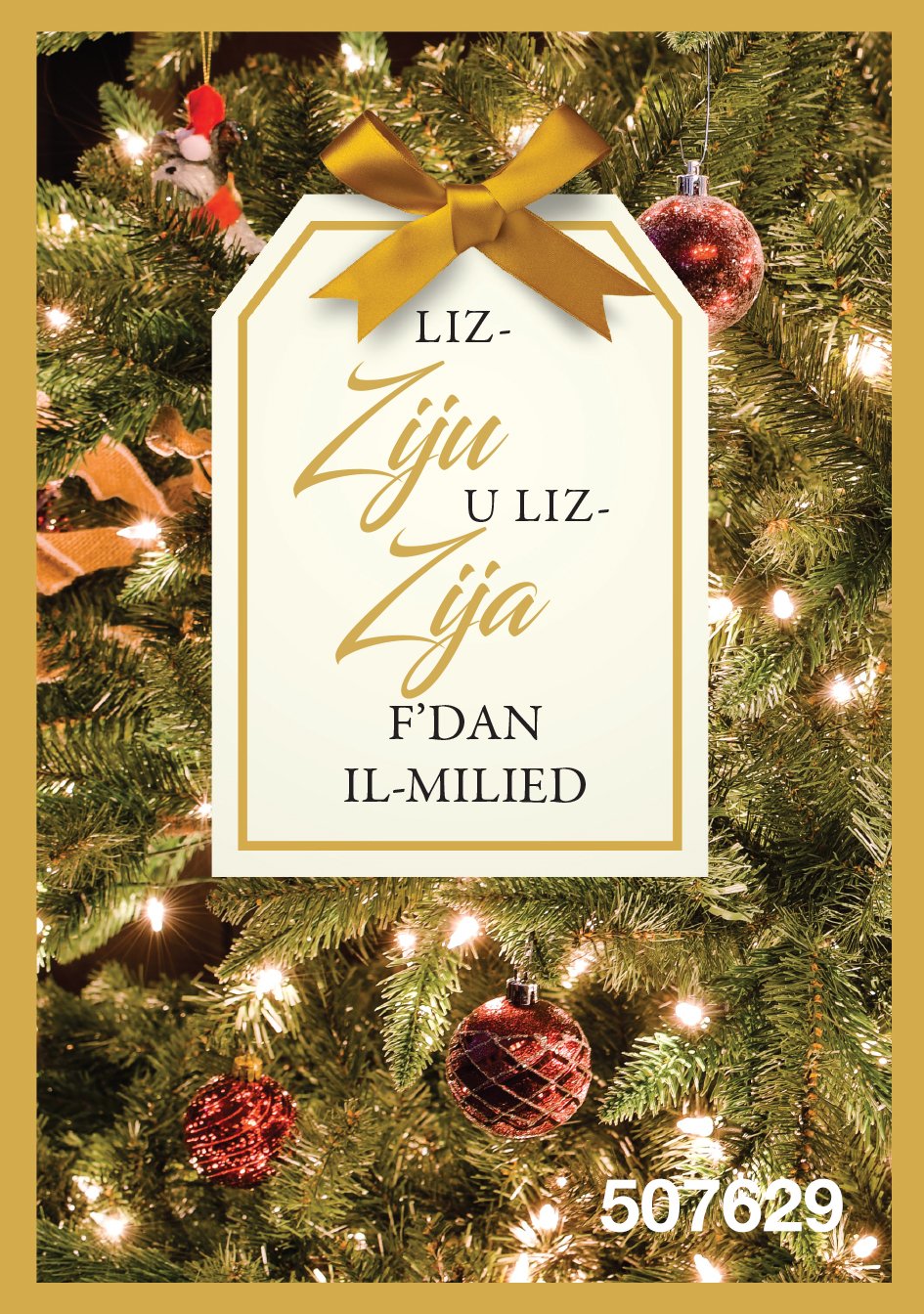 Li-Zija U Liz-Ziju