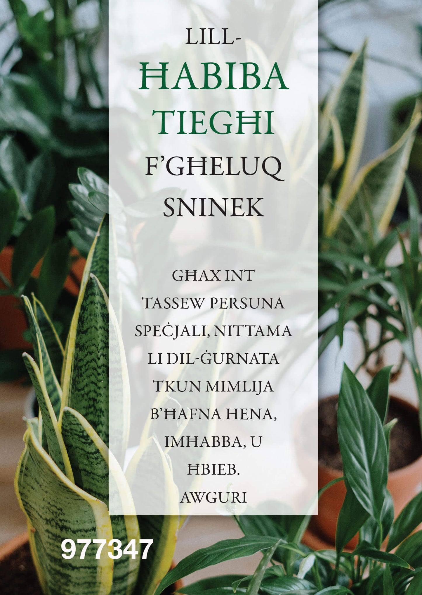 Lill-Ħabiba Tiegħi F'Għeluq Sninek