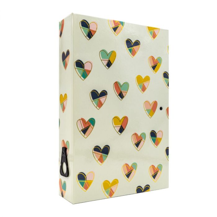 Hard A4 Box File