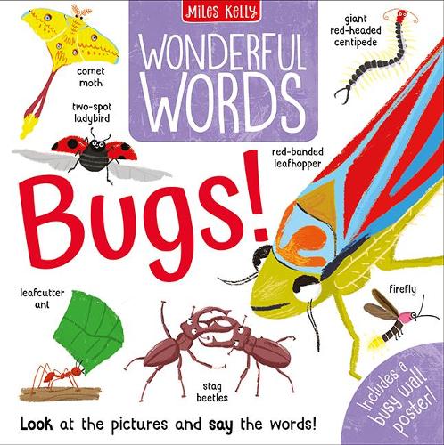 Wonderful Words - Bugs - By Miles Kelly