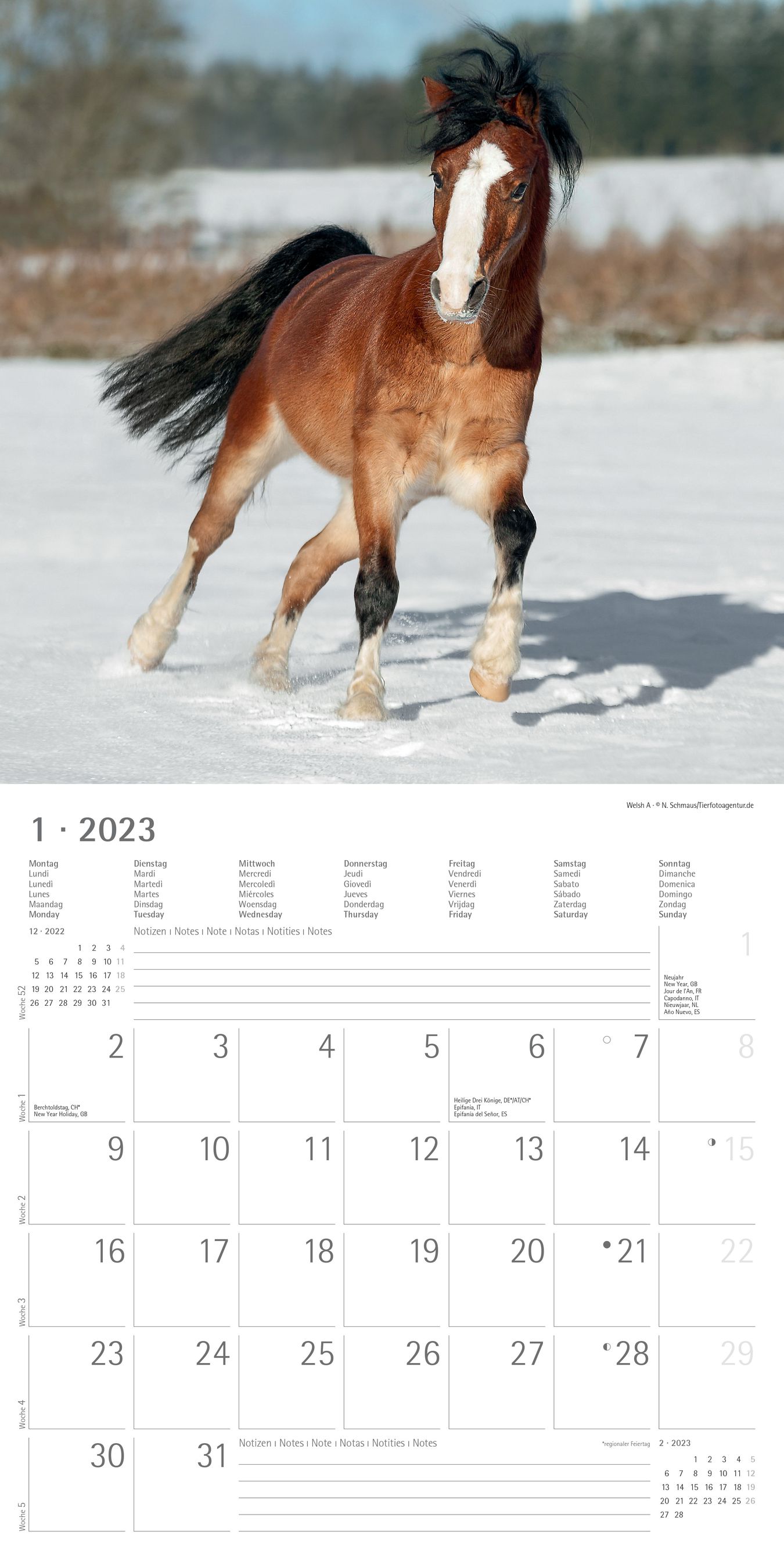 Alpha Edition 2023 Calendar - Ponys