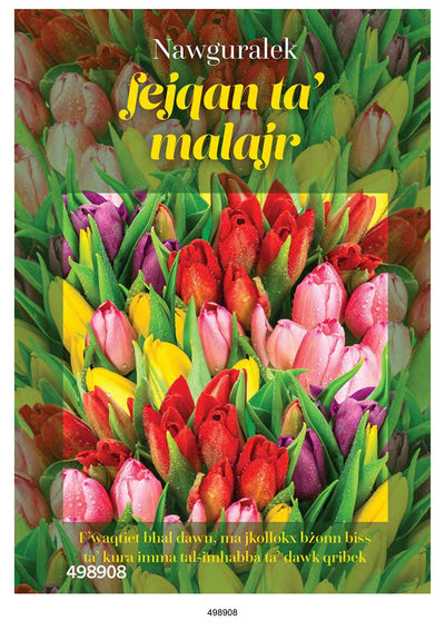 Nawguralek Fejqan Ta Malajr