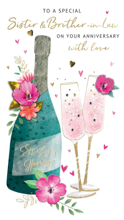 Special Sister & Brother In Law On Your Anniversary